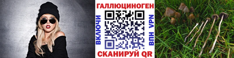 это наркотические препараты  Можга  Галлюциногенные грибы мухоморы  где продают  